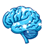 brain-icon